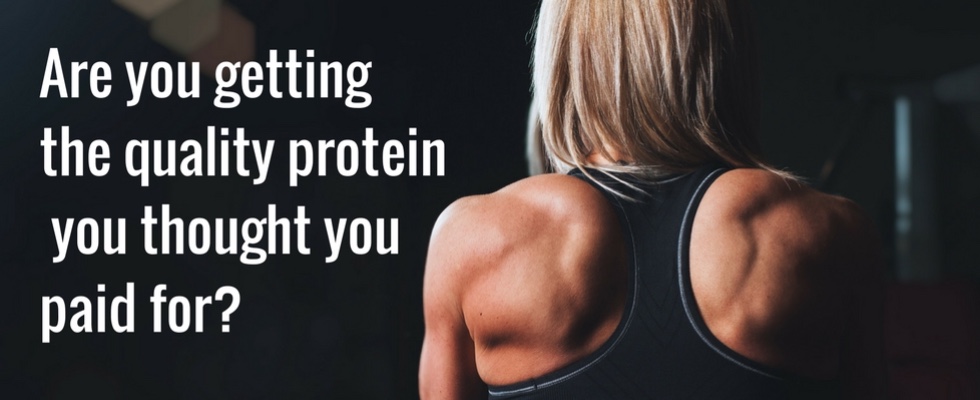 Protein